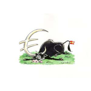 	Spanish bull	
